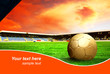 Ball on the field of stadium with blue sky and sample text