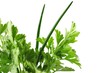 herbs