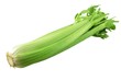 celery