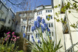 Foto: Fruehlingsblumen im staetischen Innenhof Fruehlingsblumen im staetischen Innenhof