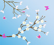springtime