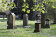 Foto: Hoppenlaufriedhof Hoppenlaufriedhof