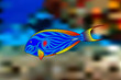 Fish-surgeon