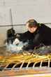 forging iron