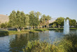 Palm Desert Pond