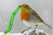 Christmas Robin
