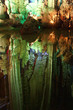 Stalactites