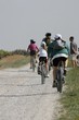 vtt