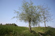 sviluppo sostenile