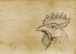 Rooster Illustration (from late 1800)