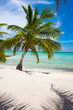 Foto: Tropical Beach Tropical Beach