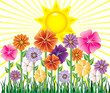 Spring Day