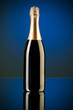 Champagne against color gradient background Champagne against color gradient background