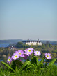 Schloss Plön mit Primeln Schloss Plön mit Primeln