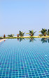 holiday dream