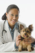 African female veterinarian with Yorkshire Terrier puppy