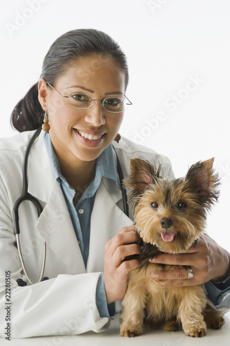 Photo: African female veterinarian with Yorkshire Terrier puppy African female veterinarian with Yorkshire Terrier puppy
