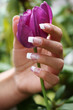schöne Frauenhand mit violetter Tulpe