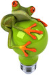 Grenouille et ampoule