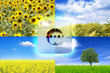 Erneuerbare Energie - Biomasse
