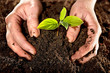 New life and environmental conservation concept New life and environmental conservation concept