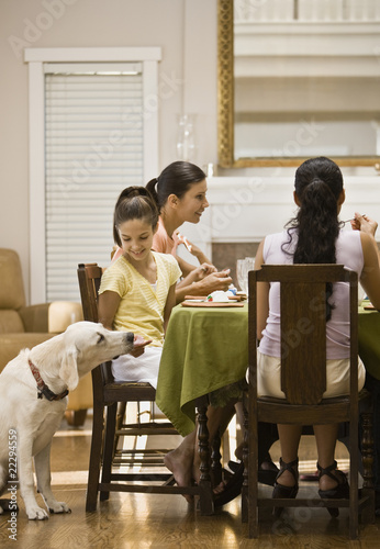 Photo: Hispanic girl feeding dog from table Hispanic girl feeding dog from table