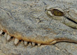 un sourire