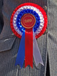 Champion Rosette