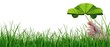 Ecologie:energie propre.