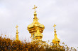 Saint petersburg. Peterhof