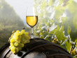 wine