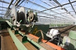 Greenhouse Conveyor Belt