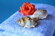 Foto: Wellness Wellness