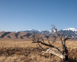 Great Sand Dunes National Park