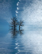 Spring high water