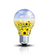 Konzept: Biomasse Konzept: Biomasse