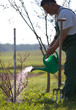 Garden watering