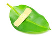 leaf