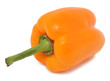Bell pepper