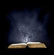 Spell book