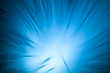 Glasfaser, blau