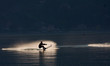 ski nautique en Savoie
