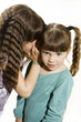 Two little girls telling secrets, isolated