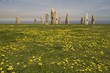 parque de menhires