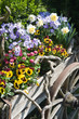 canvas print picture Blumenwagen