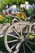 canvas print picture Blumenkarre