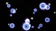 Virus and cells mouvement