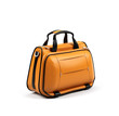 Bag isolated on a white background.