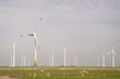 Windenergie