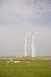 Windenergie